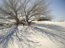 photo thumbnail #5
