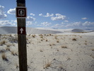 photo thumbnail #15