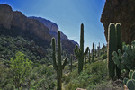 photo thumbnail #13