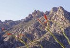 photo thumbnail #1