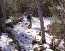 photo thumbnail #9