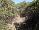 photo thumbnail #7