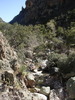 photo thumbnail #12