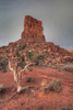 photo thumbnail #5