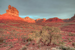photo thumbnail #6