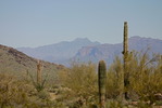 photo thumbnail #7