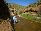 photo thumbnail #5