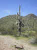 photo thumbnail #2