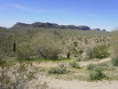 photo thumbnail #4