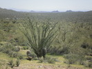 photo thumbnail #15