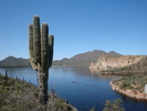 photo thumbnail #3