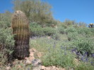 photo thumbnail #6