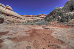 photo thumbnail #7