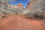 photo thumbnail #9