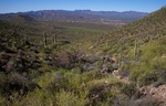 photo thumbnail #1