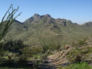 photo thumbnail #2