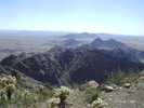 photo thumbnail #14