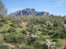 photo thumbnail #2
