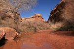 photo thumbnail #11