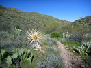 photo thumbnail #2