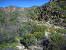 photo thumbnail #3