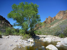 photo thumbnail #9