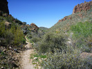 photo thumbnail #10