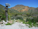 photo thumbnail #12