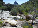 photo thumbnail #15
