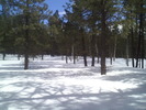 photo thumbnail #1