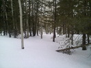 photo thumbnail #13