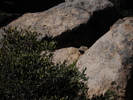 photo thumbnail #10
