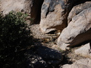 photo thumbnail #11