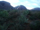 photo thumbnail #10