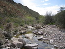 photo thumbnail #6