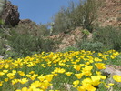 photo thumbnail #2