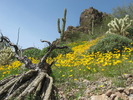 photo thumbnail #3