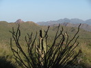 photo thumbnail #2