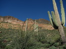photo thumbnail #7