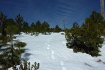 photo thumbnail #10