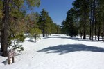 photo thumbnail #15