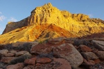 photo thumbnail #7