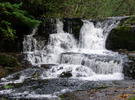 photo thumbnail #5