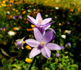 photo thumbnail #14
