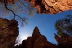 photo thumbnail #1