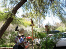 photo thumbnail #6