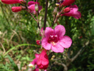 photo thumbnail #15
