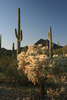 photo thumbnail #3