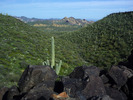 photo thumbnail #2