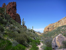 photo thumbnail #13